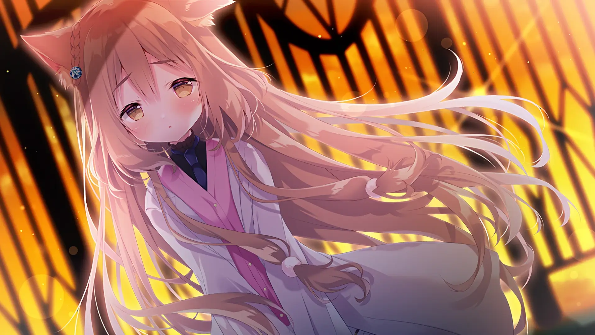 对于 Web 学习路线的认识